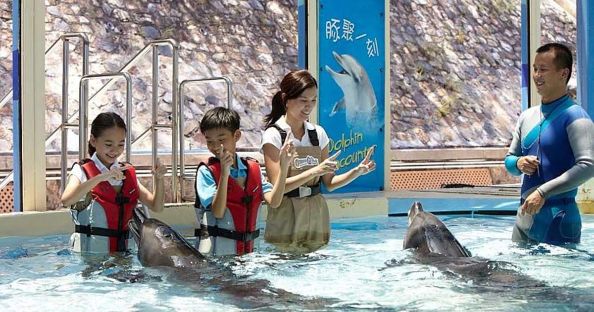 Ocean Park Dolphin Encounters Klook